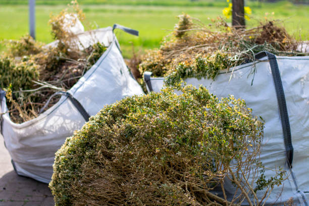 Best Appliance Removal Near Me  in Moline, IL